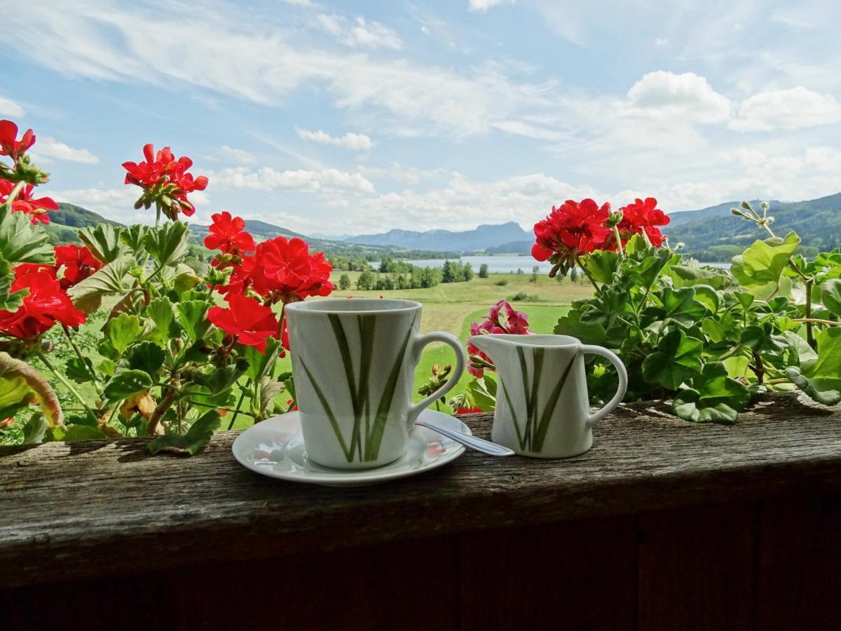 Sunnhof Villa Oberhofen am Irrsee Ngoại thất bức ảnh